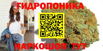 ПСИЛОЦИБИНОВЫЕ ГРИБЫ Усть-Илимск