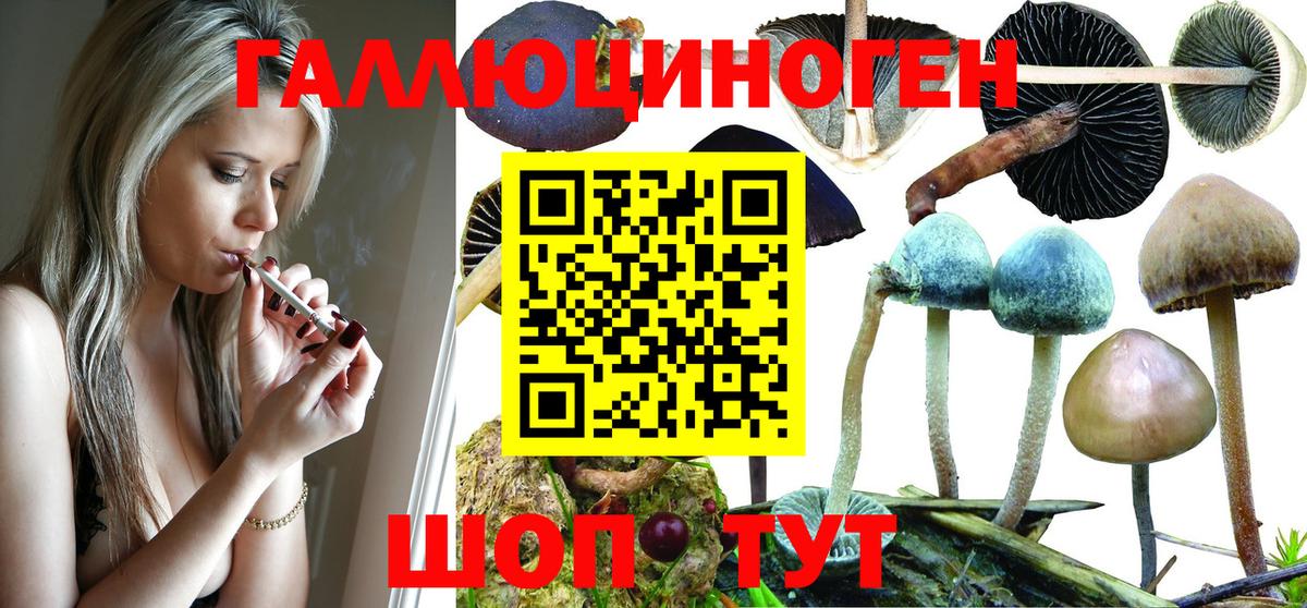 ТГК  ГАШ  Артёмовский  МДМА  Меф   Вход с VPN  COCAIN  Каннабис 