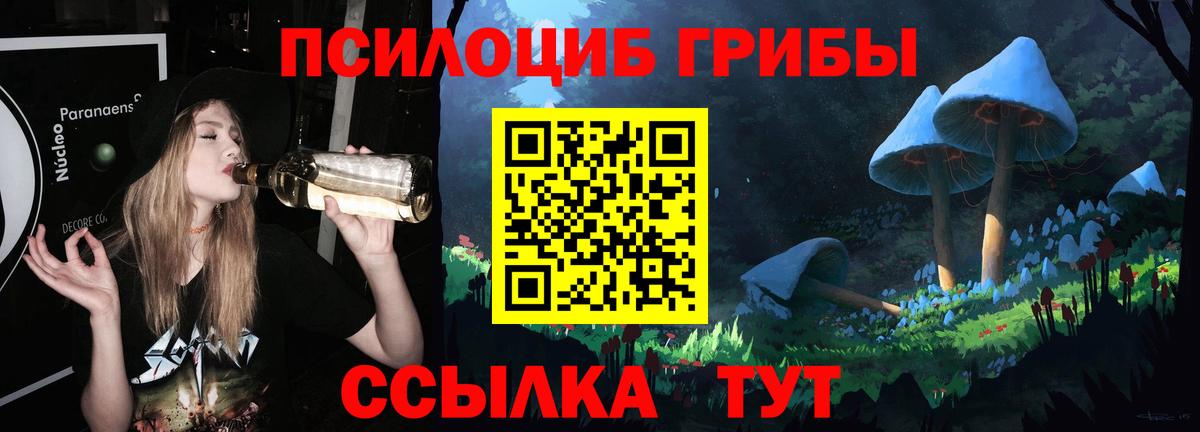 где можно купить наркотик  Артёмовский  Галлюциногенные грибы мицелий 