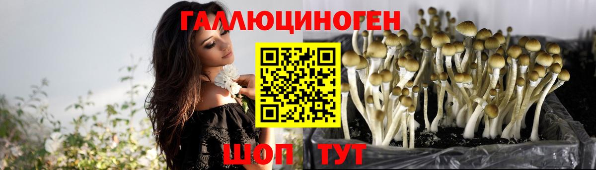 Артёмовский  Галлюциногенные грибы Magic Shrooms  Вход с VPN 