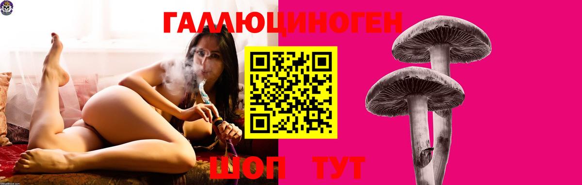 Галлюциногенные грибы мухоморы Артёмовский